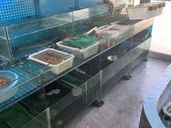 -锦月楼百姓厨房(大箕山商业广场店)