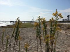 android_upload_pic-南汇嘴观海公园