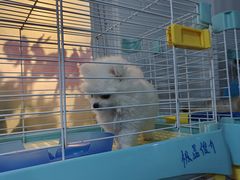 -宠爱我(南山店)