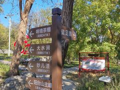 -阳台山自然风景区