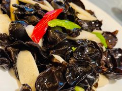 山药木耳-冶春茶社(官园桥店)