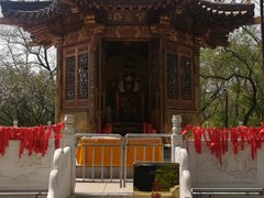 -高尔山公园