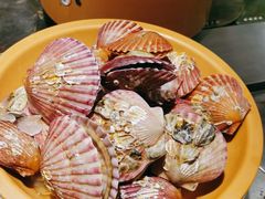 -龍歌自助小火锅(崂山丽达店)