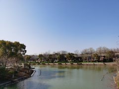 -上海海湾国家森林公园