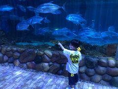 -华夏文旅海洋公园