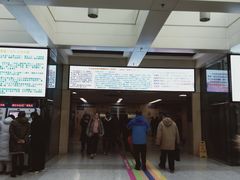 -北京医院