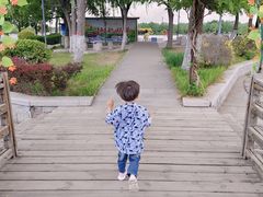 -石家庄市植物园
