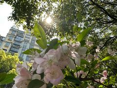 -快网网球俱乐部(徐汇爱建园店)