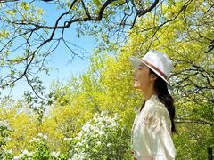-少华山国家森林公园
