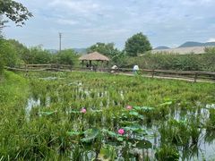 -驿舍·民國老营房院子私房菜(白市驿店)