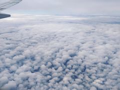 -中免(澳门机场免税店)