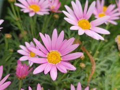 -广州长隆欢乐世界