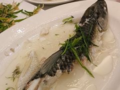 -稻香酒家·35年老字号(侨光店)