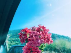 -苏州吴中太湖旅游区
