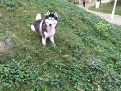 -燕晗山郊野公园