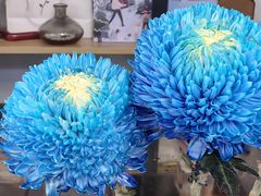 -ChaKo Flora ·茶子花艺 (市北店)