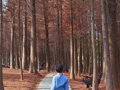 -佛冈森波拉度假区