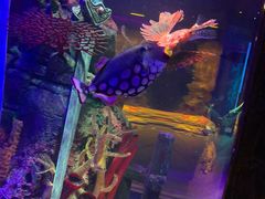 -沈阳海洋探索中心