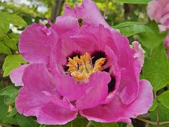 -国家植物园南园