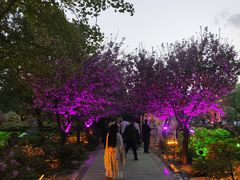 -洛阳市隋唐城遗址植物园