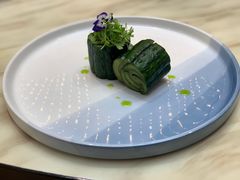 -丁老爷子苏香圆