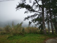 -海南热带雨林国家公园吊罗山景区