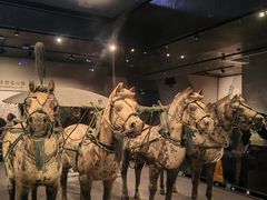 -秦始皇帝陵博物院-丽山园