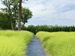 -汉长安城未央宫国家考古遗址公园