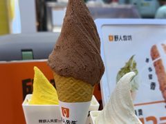 -野人先生现做冰淇淋(西安赛格店)