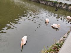 -黔灵山公园