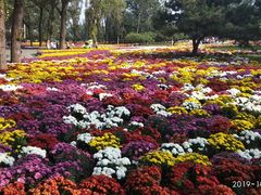 -北京植物园-展览温室