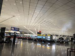 -郑州新郑国际机场-T2航站楼