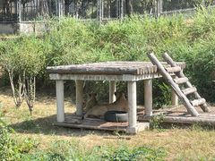 -石家庄市动物园