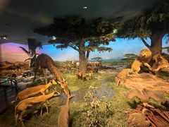 -国家自然博物馆