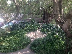 iphone_upload_pic-胡里山炮台