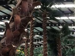 -南宫温泉水世界