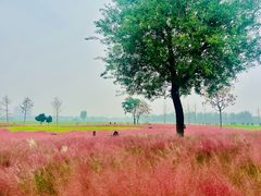 -汉长安城未央宫国家考古遗址公园