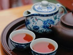 -云溪植物园