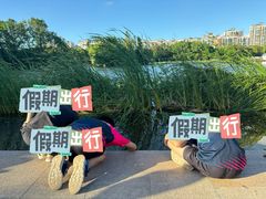 -新江湾城公园