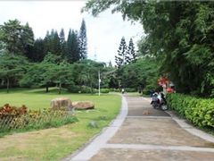-四海公园(南山区)