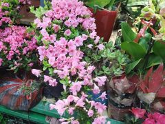 -三旗百汇商品城