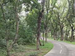 -燕晗山郊野公园