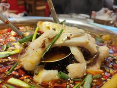 -乡土特色.冷锅鱼.牦牛肉汤锅