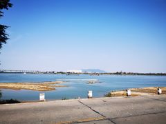 -八仔大富楼·河鲜(西江店)