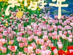 -厦门园林博览苑
