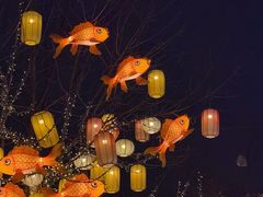 -龙湖星悦荟(颐和店)