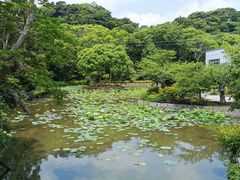 -鹤冈八幡宫