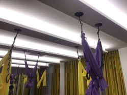 -静园瑜伽