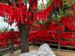 -秦始皇帝陵博物院(兵马俑)