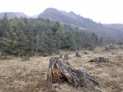 -硗碛藏寨·神木垒景区